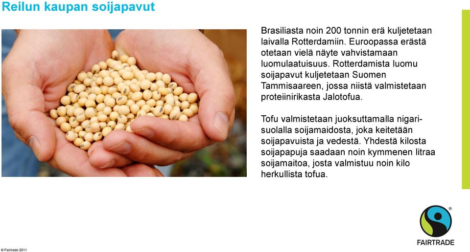 Rotterdamista luomu soijapavut kuljetetaan Suomen Tammisaareen, jossa niistä valmistetaan proteiinirikasta Jalotofua.