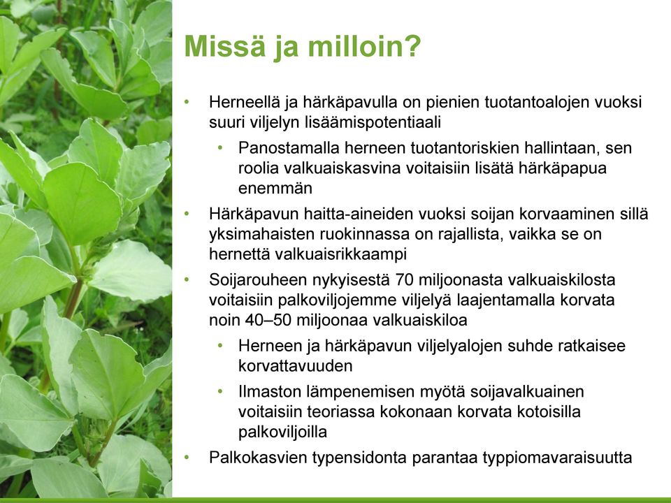 lisätä härkäpapua enemmän Härkäpavun haitta-aineiden vuoksi soijan korvaaminen sillä yksimahaisten ruokinnassa on rajallista, vaikka se on hernettä valkuaisrikkaampi Soijarouheen