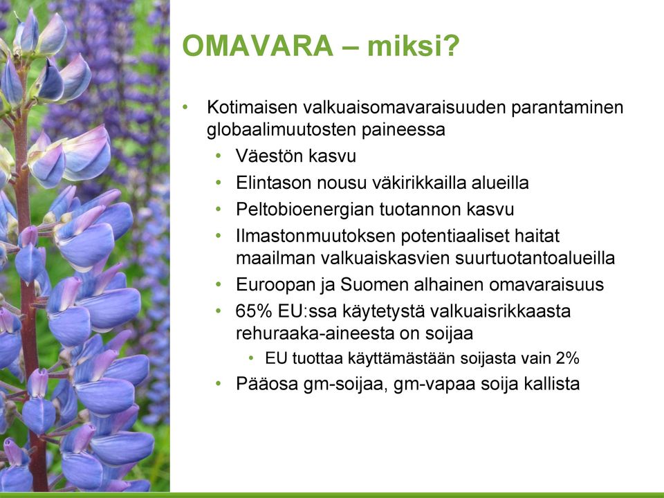 väkirikkailla alueilla Peltobioenergian tuotannon kasvu Ilmastonmuutoksen potentiaaliset haitat maailman