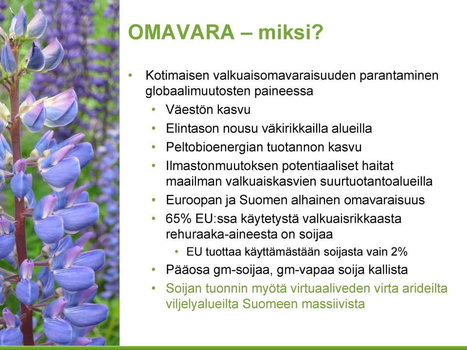 Peltobioenergian tuotannon kasvu Ilmastonmuutoksen potentiaaliset haitat maailman valkuaiskasvien suurtuotantoalueilla Euroopan ja