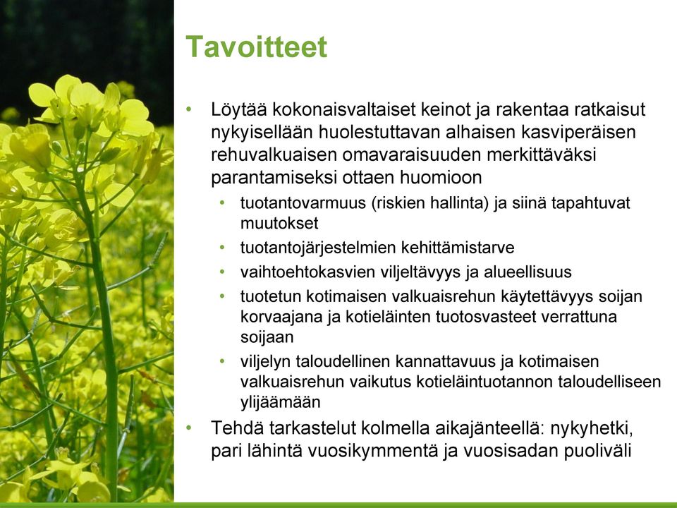alueellisuus tuotetun kotimaisen valkuaisrehun käytettävyys soijan korvaajana ja kotieläinten tuotosvasteet verrattuna soijaan viljelyn taloudellinen kannattavuus ja