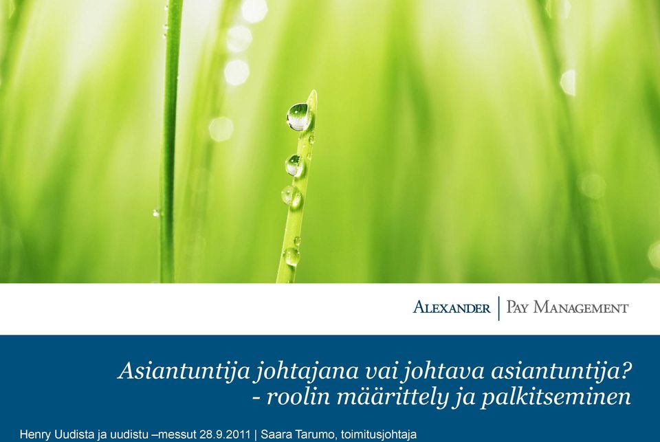 - roolin määrittely ja palkitseminen