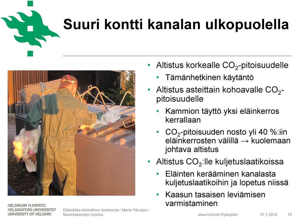 yli 40 %:iin eläinkerrosten välillä kuolemaan johtava altistus Altistus CO 2 :lle kuljetuslaatikoissa