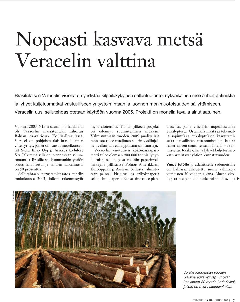 Vuonna 2003 NIBin suurimpia hankkeita oli Veracelin massatehtaan rahoitus Bahian osavaltiossa Koillis-Brasiliassa.