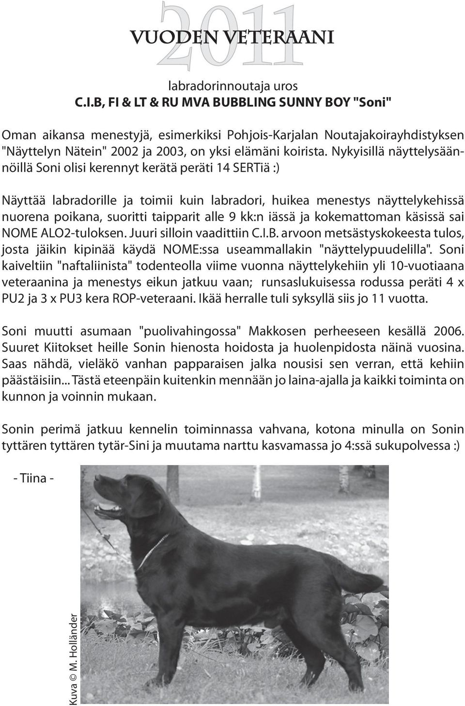 Nykyisillä näyttelysäännöillä Soni olisi kerennyt kerätä peräti 14 SERTiä :) Näyttää labradorille ja toimii kuin labradori, huikea menestys näyttelykehissä nuorena poikana, suoritti taipparit alle 9