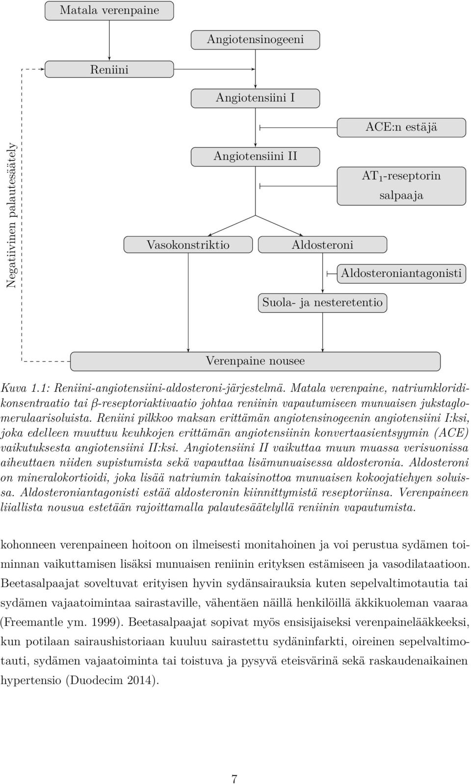 Matala verenpaine, natriumkloridikonsentraatio tai β-reseptoriaktivaatio johtaa reniinin vapautumiseen munuaisen jukstaglomerulaarisoluista.