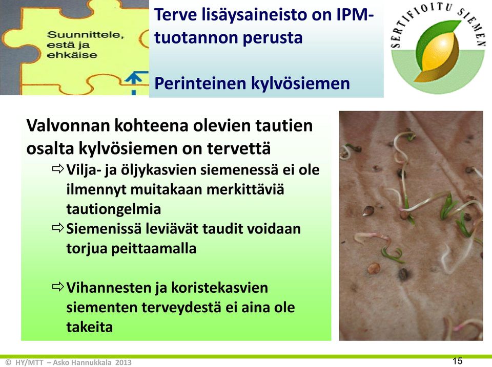 ilmennyt muitakaan merkittäviä tautiongelmia Siemenissä leviävät taudit voidaan torjua