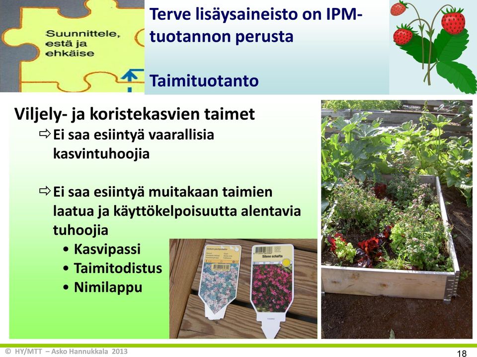 kasvintuhoojia Ei saa esiintyä muitakaan taimien laatua ja