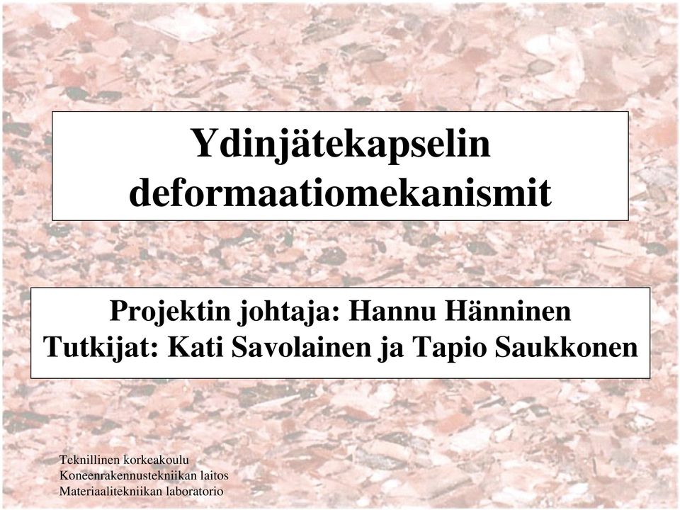 Projektin johtaja: Hannu