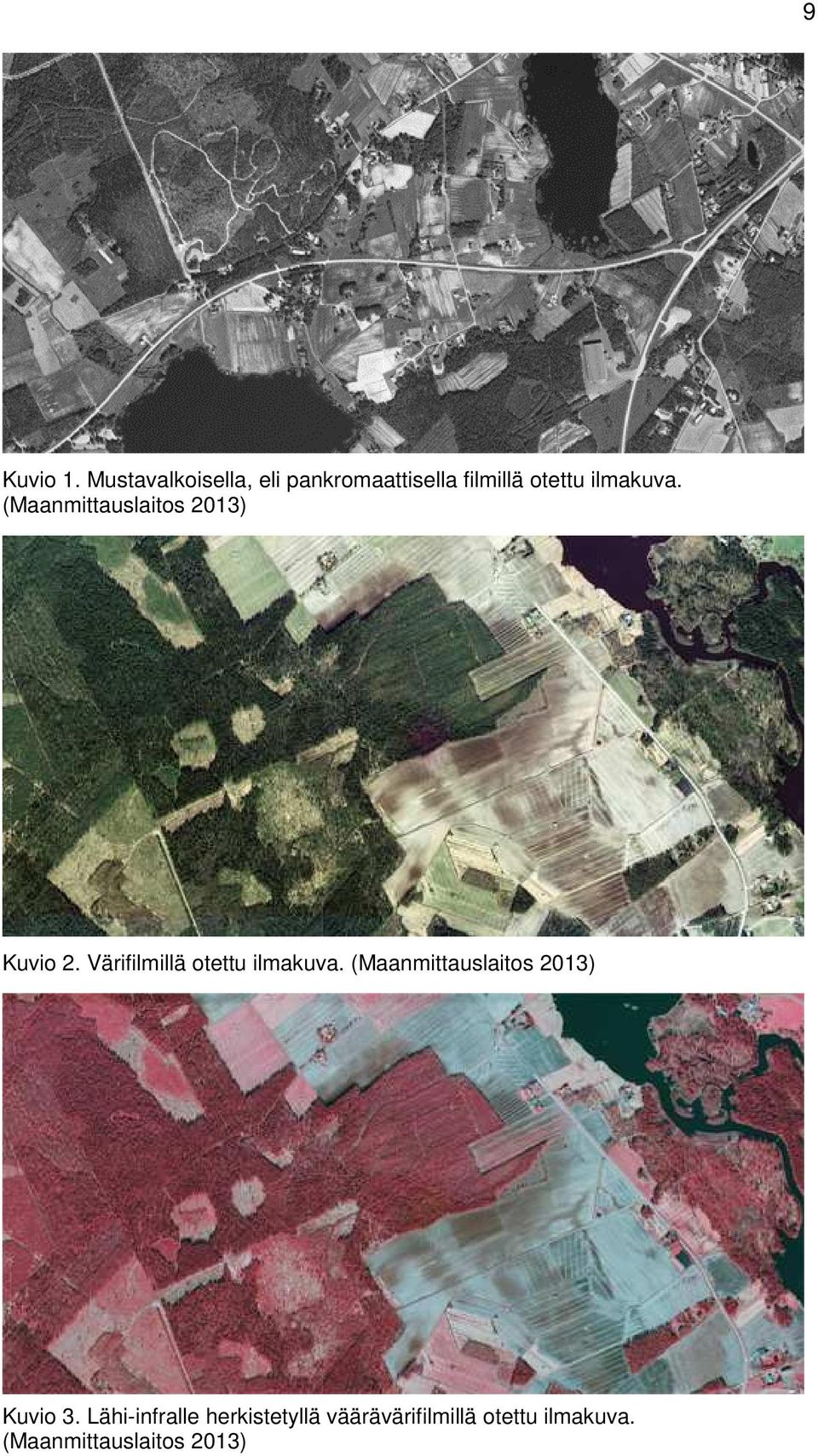 (Maanmittauslaitos 2013) Kuvio 2. Värifilmillä otettu ilmakuva.