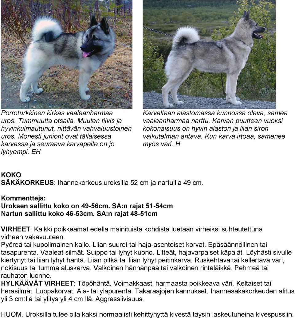 Karvan puutteen vuoksi kokonaisuus on hyvin alaston ja liian siron vaikutelman antava. Kun karva irtoaa, samenee myös väri. H KOKO SÄKÄKORKEUS: Ihannekorkeus uroksilla 52 cm ja nartuilla 49 cm.