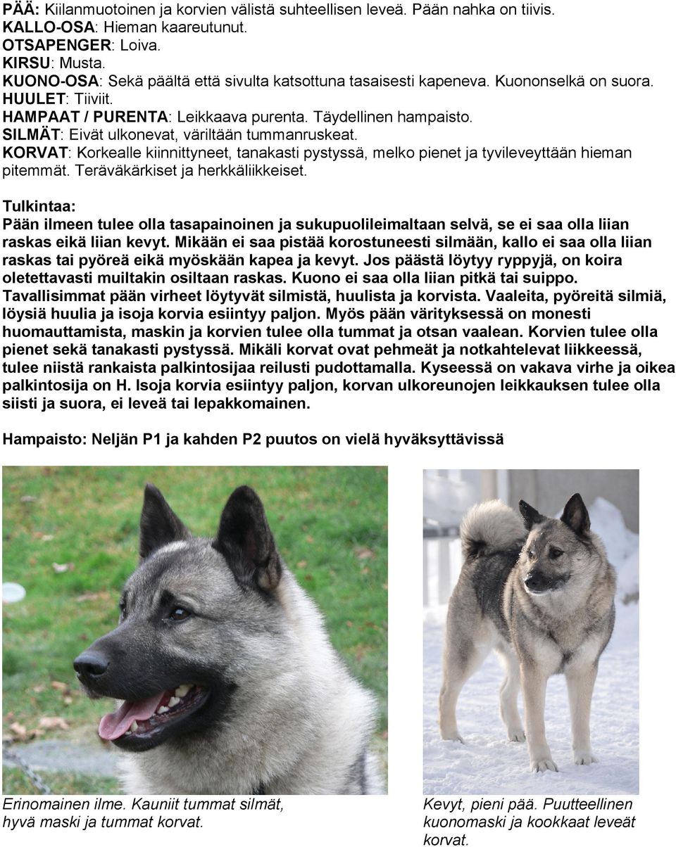 SILMÄT: Eivät ulkonevat, väriltään tummanruskeat. KORVAT: Korkealle kiinnittyneet, tanakasti pystyssä, melko pienet ja tyvileveyttään hieman pitemmät. Teräväkärkiset ja herkkäliikkeiset.