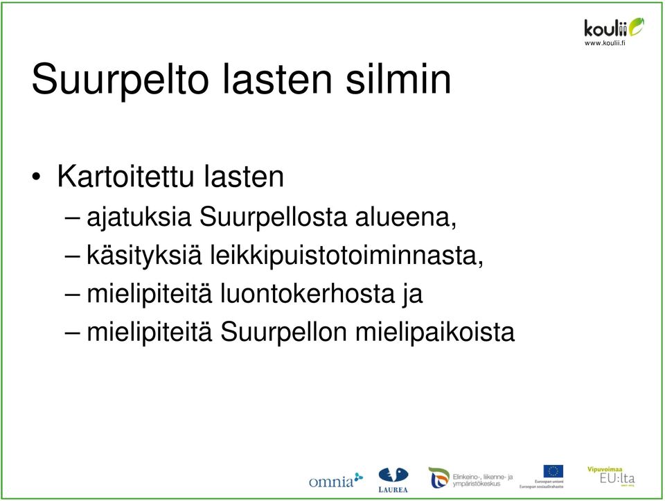 leikkipuistotoiminnasta, mielipiteitä