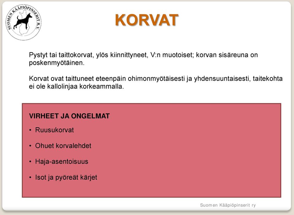 Korvat ovat taittuneet eteenpäin ohimonmyötäisesti ja yhdensuuntaisesti,