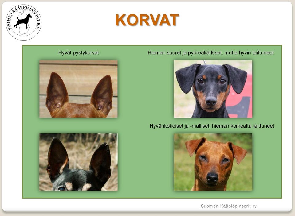 taittuneet Hyvänkokoiset ja