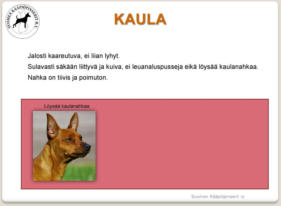 leuanaluspusseja eikä löysää kaulanahkaa.