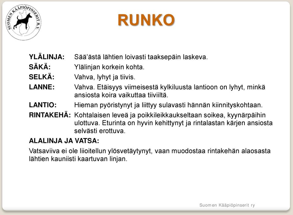 LANTIO: Hieman pyöristynyt ja liittyy sulavasti hännän kiinnityskohtaan.