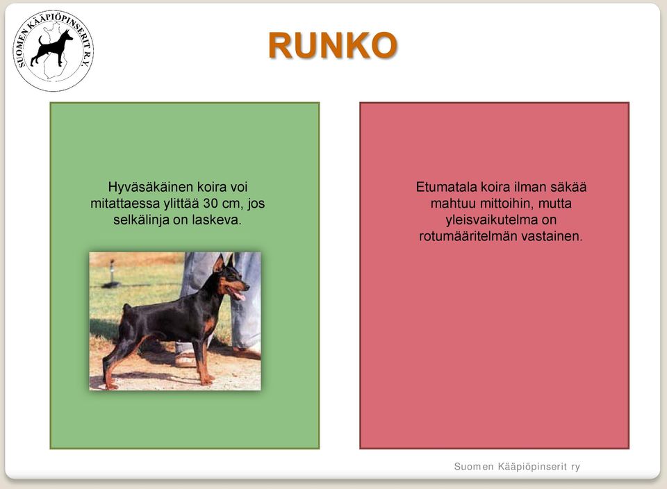 Etumatala koira ilman säkää mahtuu