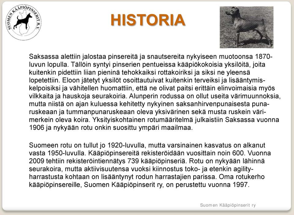 Eloon jätetyt yksilöt osoittautuivat kuitenkin terveiksi ja lisääntymiskelpoisiksi ja vähitellen huomattiin, että ne olivat paitsi erittäin elinvoimaisia myös vilkkaita ja hauskoja seurakoiria.