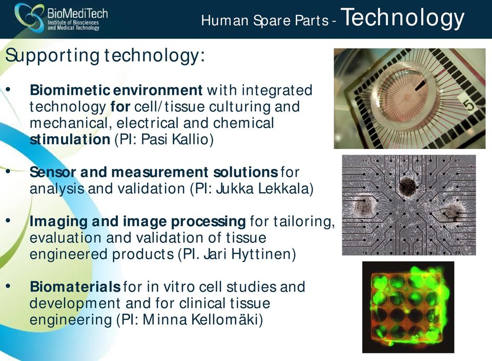 Imaging and image processing for tailoring, evaluation and validation of tissue engineered products (PI.
