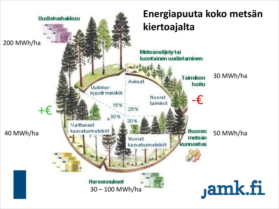 MWh/ha 30 MWh/ha + - 40
