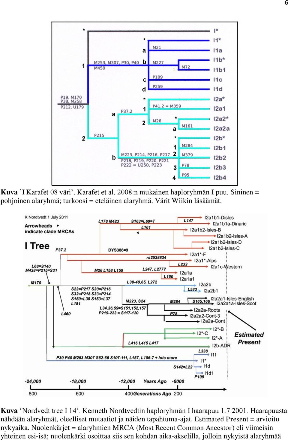 Kenneth Nordtvedtin haploryhmän I haarapuu 1.7.2001. Haarapuusta nähdään alaryhmät, oleelliset mutaatiot ja näiden tapahtuma-ajat.
