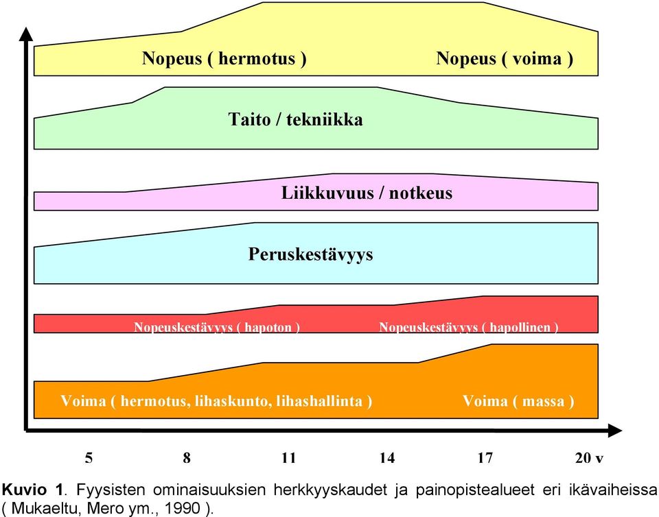 hermotus, lihaskunto, lihashallinta ) Voima ( massa ) 5 8 11 14 17 20 v Kuvio 1.