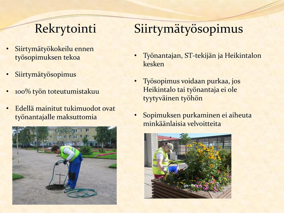 Siirtymätyösopimus Työnantajan, ST-tekijän ja Heikintalon kesken Työsopimus voidaan purkaa,