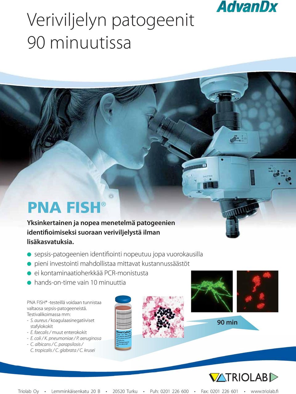 minuuttia PNA FISH -testeillä voidaan tunnistaa valtaosa sepsis-patogeeneistä. Testivalikoimassa mm: - S. aureus / koagulaasinegatiiviset stafylokokit - E.