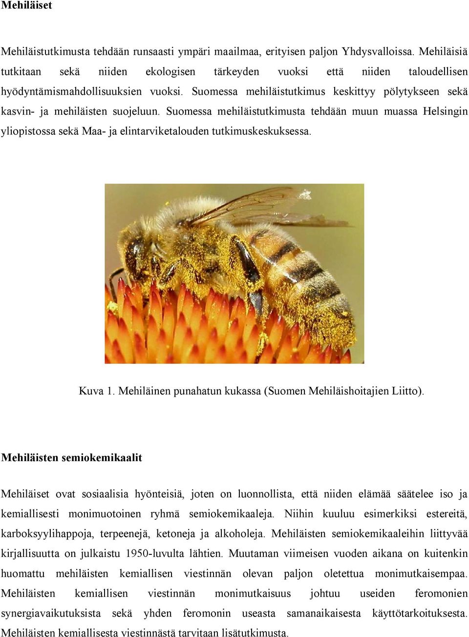 Suomessa mehiläistutkimus keskittyy pölytykseen sekä kasvin- ja mehiläisten suojeluun.