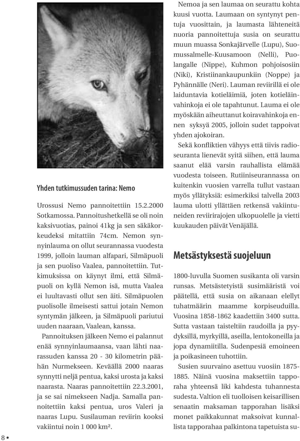 Tutkimuksissa on käynyt ilmi, että Silmäpuoli on kyllä Nemon isä, mutta Vaalea ei luultavasti ollut sen äiti.