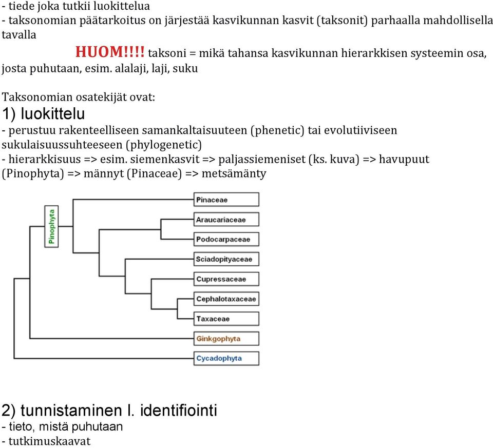 alalaji, laji, suku Taksonomian osatekijät ovat: 1) luokittelu - perustuu rakenteelliseen samankaltaisuuteen (phenetic) tai evolutiiviseen