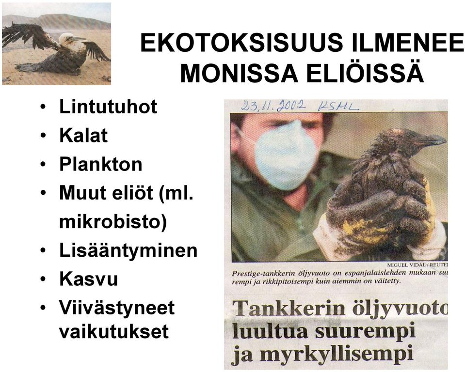 mikrobisto) Lisääntyminen Kasvu