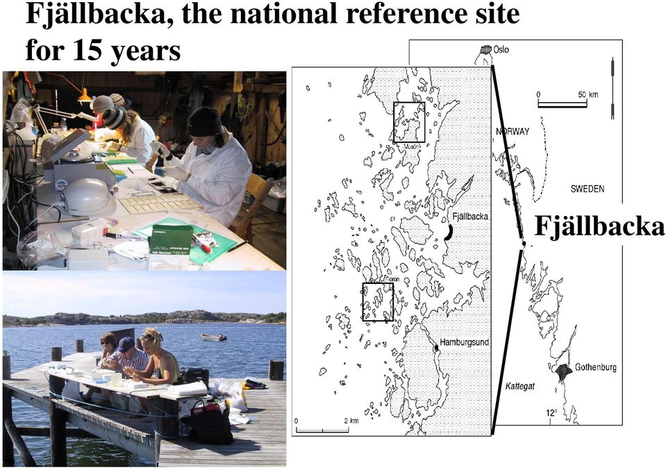 reference site