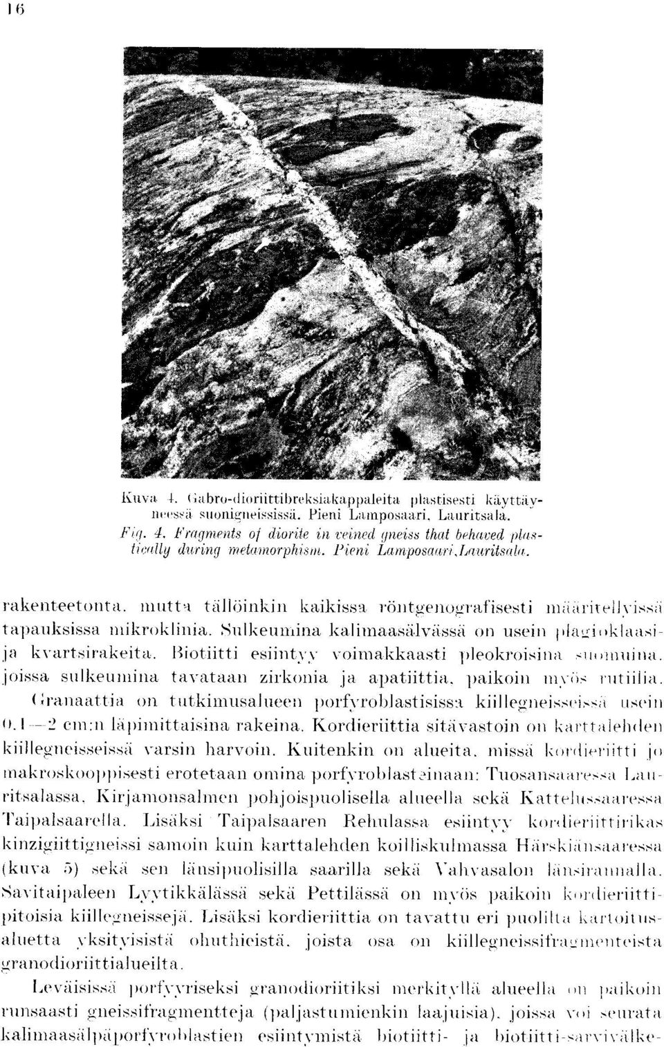 mutt-t talloinkin kaikissa, rontt enografisesti tapauksissa ntikroklinia. Sulkeumina kalirnaasiilviissii on usein pla_i ~kiaasija kvartsirakeita.