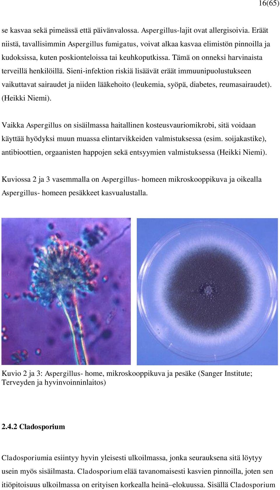 Sieni-infektion riskiä lisäävät eräät immuunipuolustukseen vaikuttavat sairaudet ja niiden lääkehoito (leukemia, syöpä, diabetes, reumasairaudet). (Heikki Niemi).