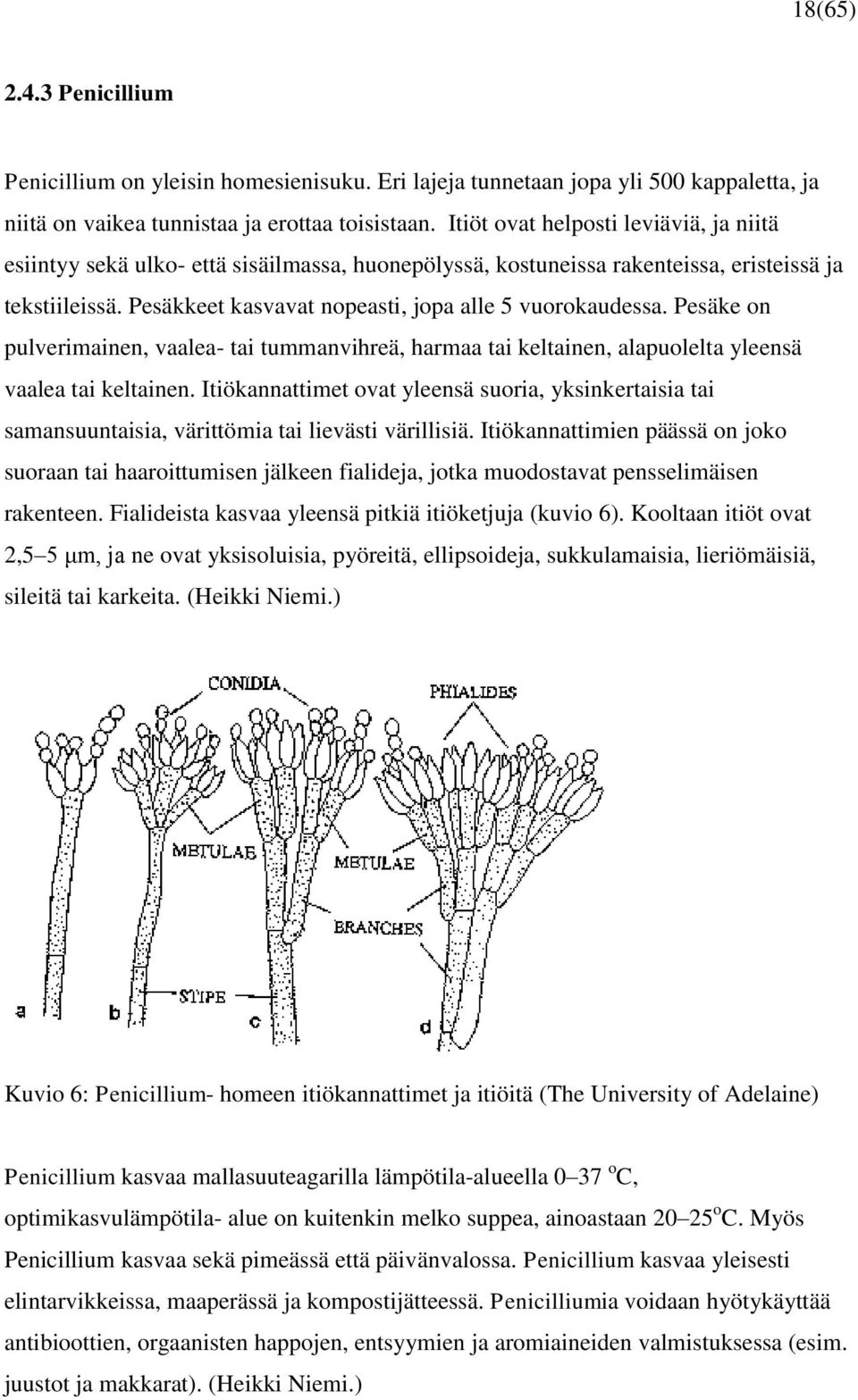 Pesäke on pulverimainen, vaalea- tai tummanvihreä, harmaa tai keltainen, alapuolelta yleensä vaalea tai keltainen.