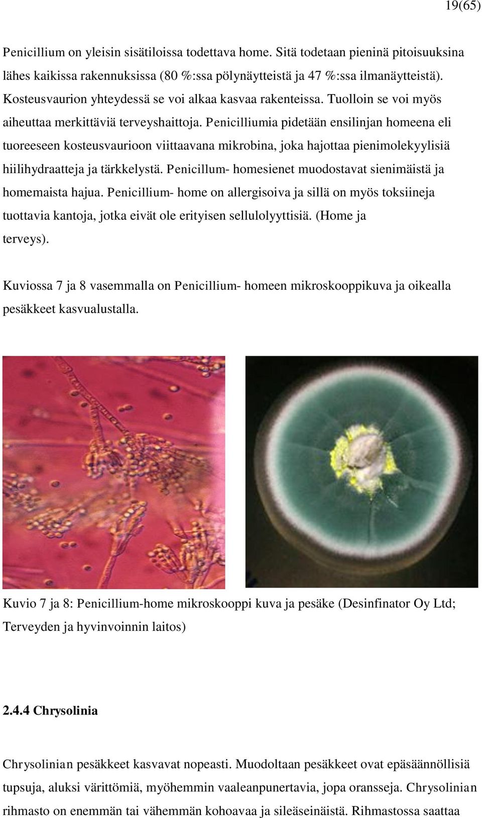 Penicilliumia pidetään ensilinjan homeena eli tuoreeseen kosteusvaurioon viittaavana mikrobina, joka hajottaa pienimolekyylisiä hiilihydraatteja ja tärkkelystä.