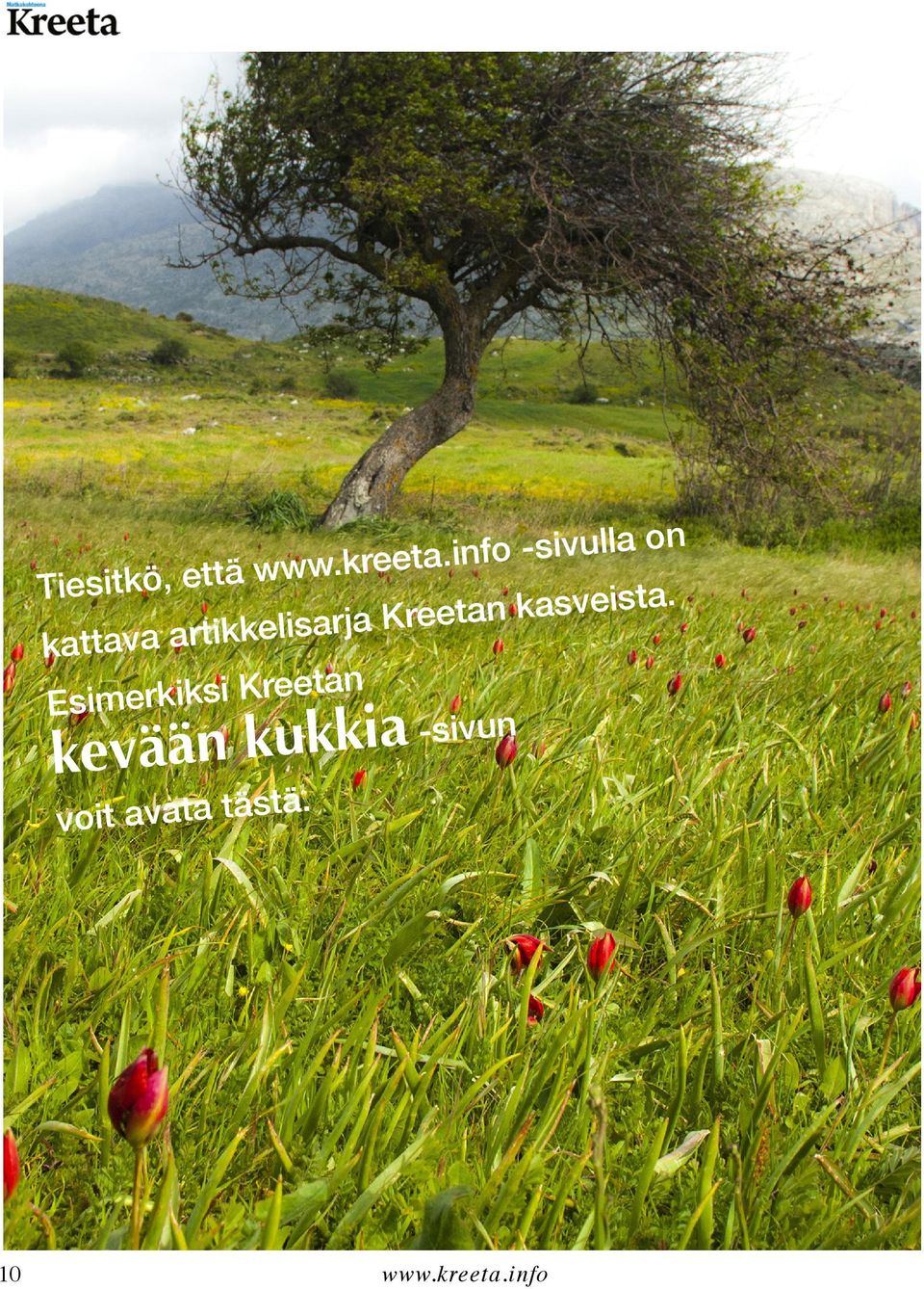 a k n ta e re K elisarja kattava artikk