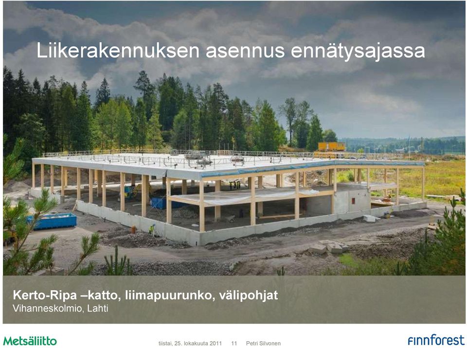 katto, liimapuurunko,