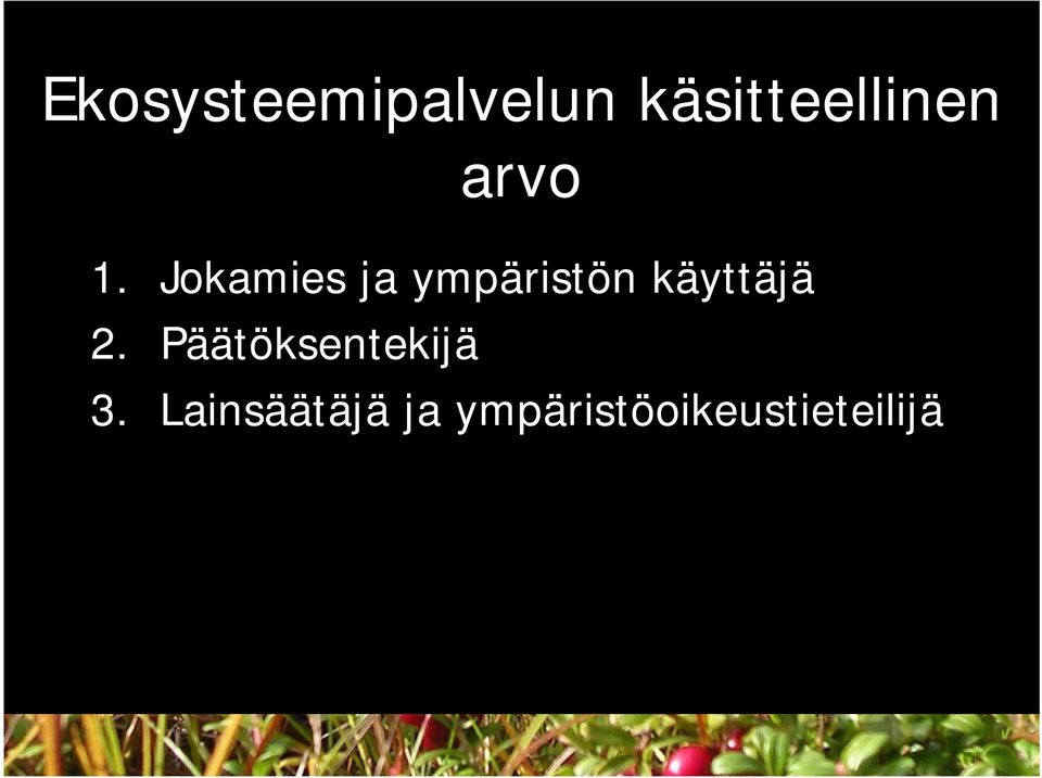 Jokamies ja ympäristön käyttäjä 2.