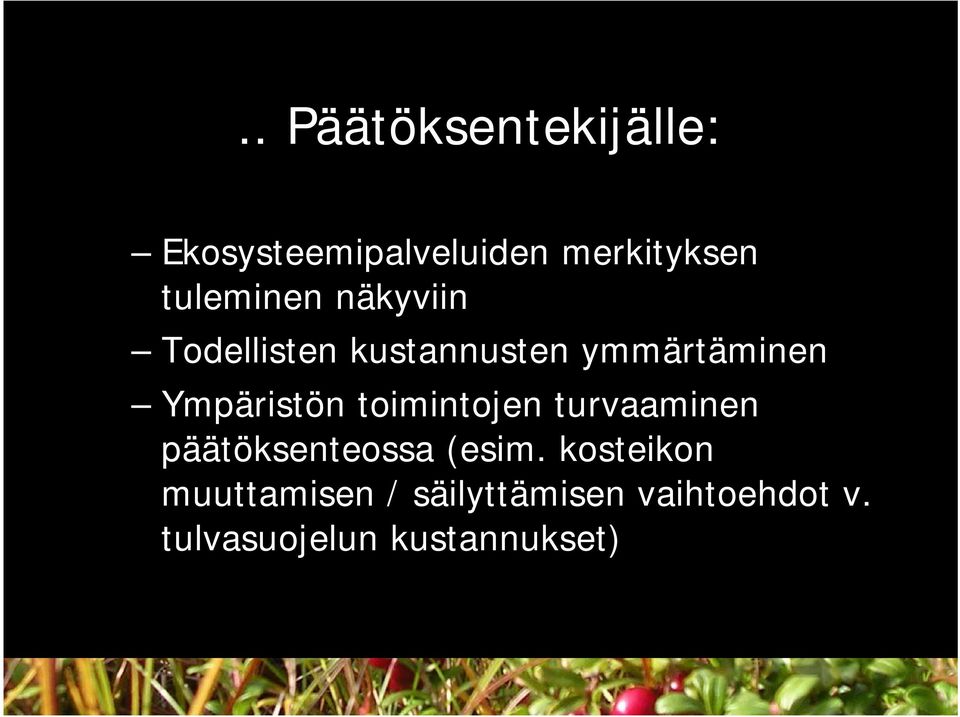 Ympäristön toimintojen turvaaminen päätöksenteossa (esim.