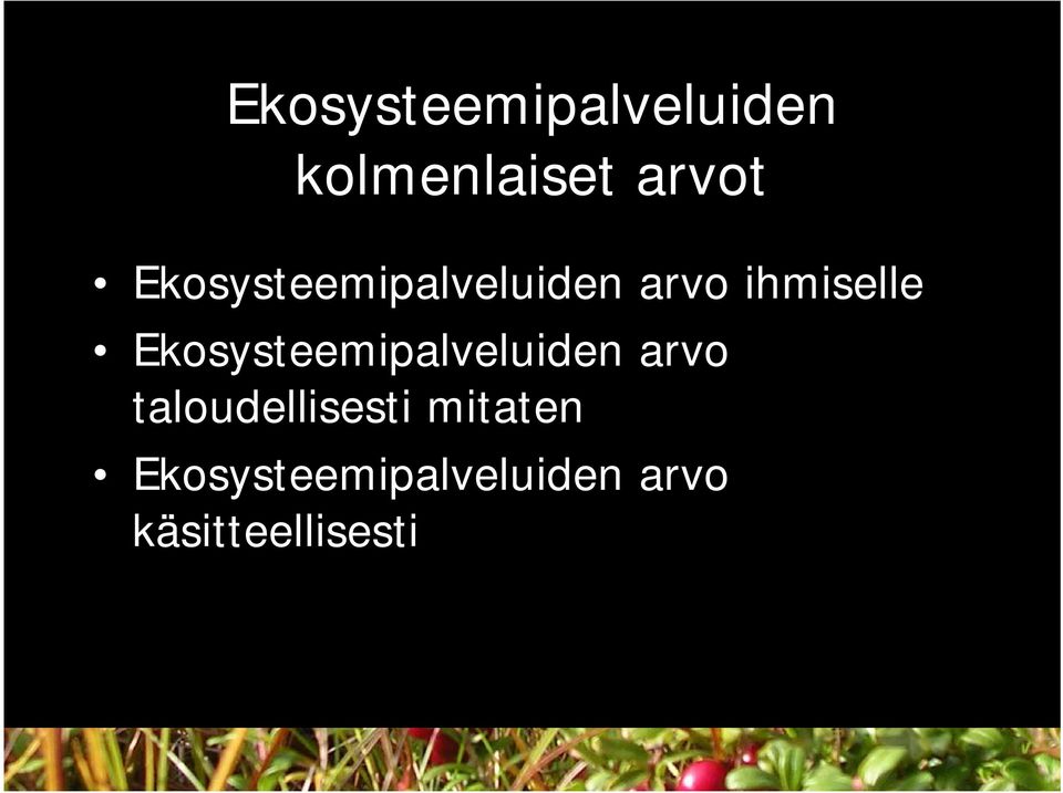 Ekosysteemipalveluiden arvo taloudellisesti