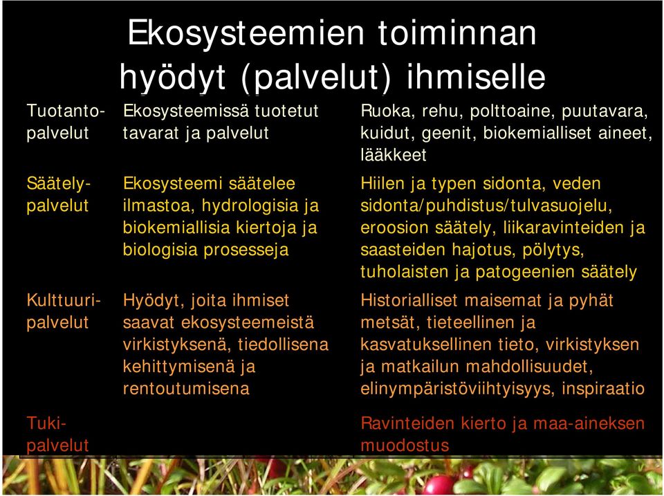 puutavara, kuidut, geenit, biokemialliset aineet, lääkkeet Hiilen ja typen sidonta, veden sidonta/puhdistus/tulvasuojelu, eroosion säätely, liikaravinteiden ja saasteiden hajotus, pölytys,