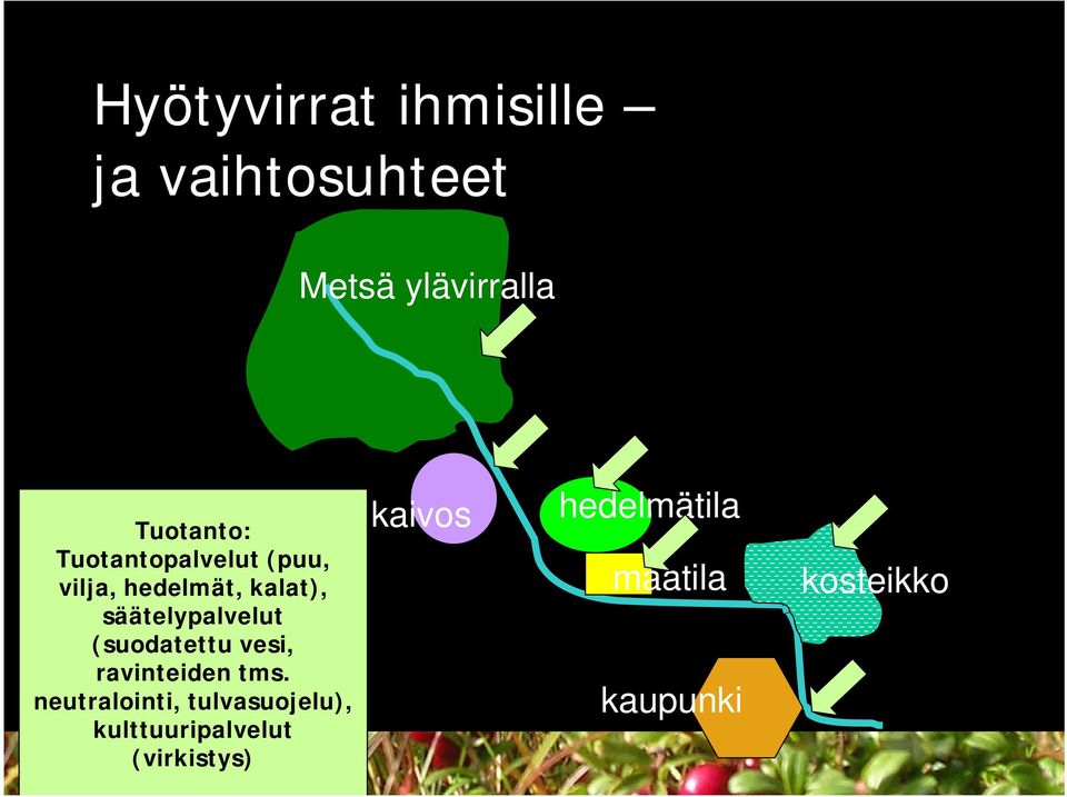 (suodatettu vesi, ravinteiden tms.