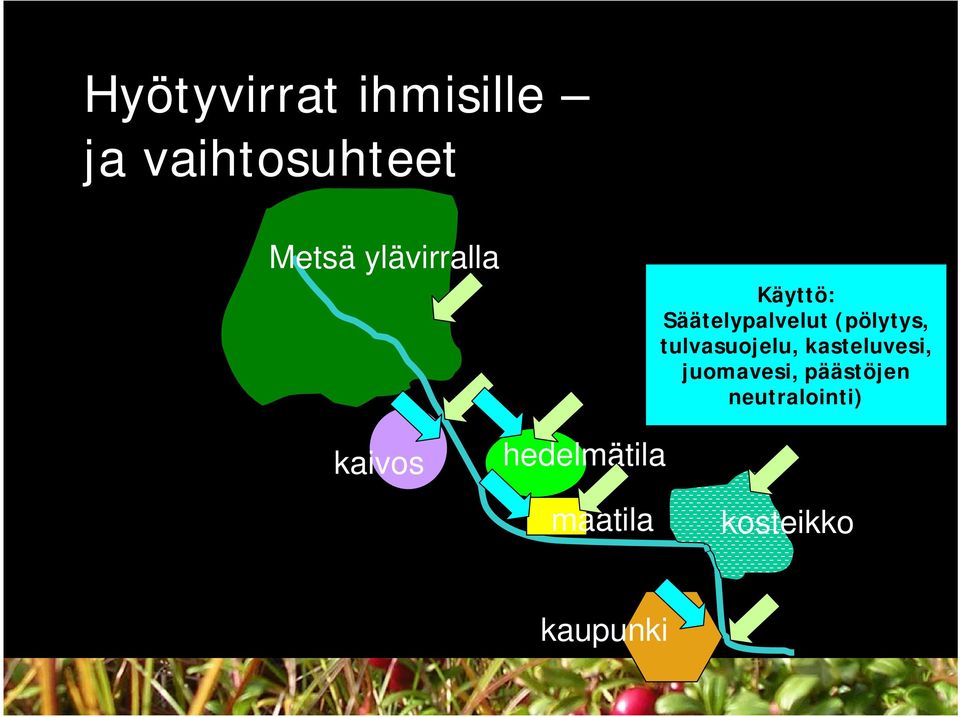 Säätelypalvelut (pölytys, tulvasuojelu,