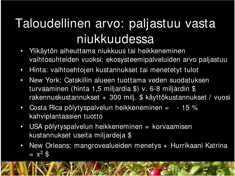 $) v. 6-8 miljardin $ rakennuskustannukset + 300 milj.