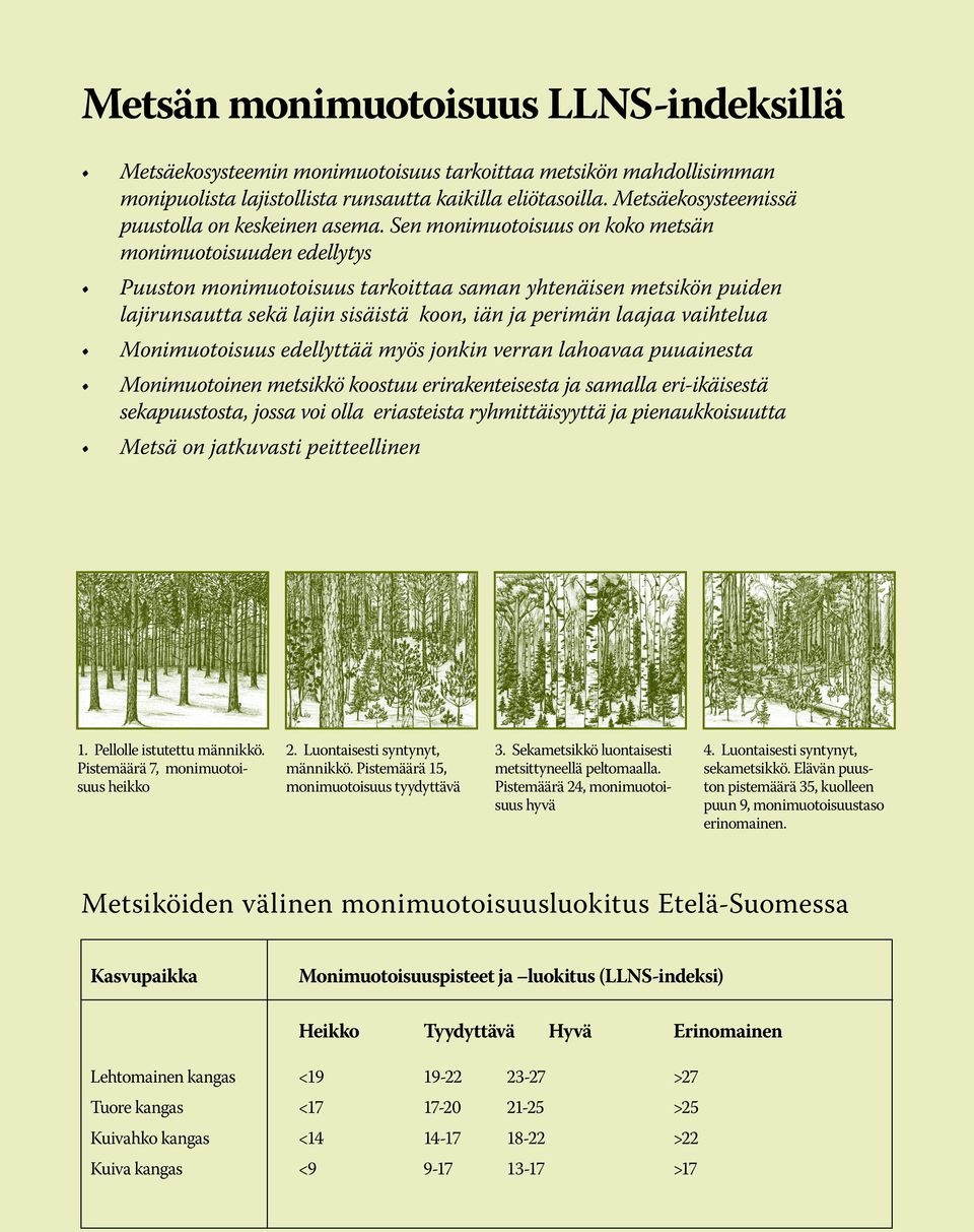 Sen monimuotoisuus on koko metsän monimuotoisuuden edellytys Puuston monimuotoisuus tarkoittaa saman yhtenäisen metsikön puiden lajirunsautta sekä lajin sisäistä koon, iän ja perimän laajaa vaihtelua