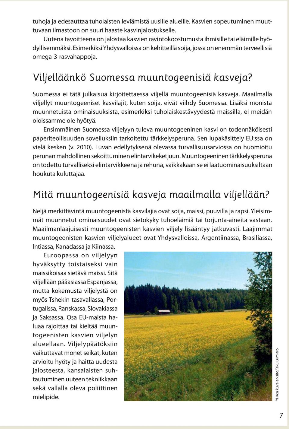 Viljelläänkö Suomessa muuntogeenisiä kasveja? Suomessa ei tätä julkaisua kirjoitettaessa viljellä muuntogeenisiä kasveja.