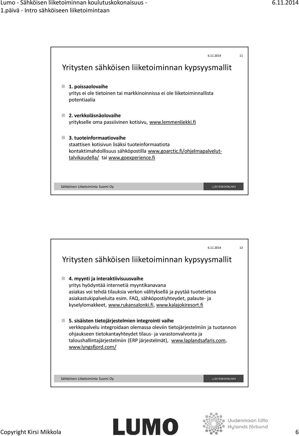 fi/ohjelmapalveluttalvikaudella/ tai www.goexperience.fi 12 Yritysten sähköisen liiketoiminnan kypsyysmallit 4.